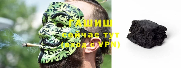 дживик Бородино