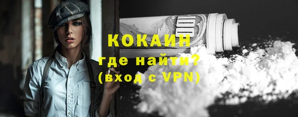 дживик Бородино