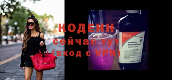 дживик Бородино