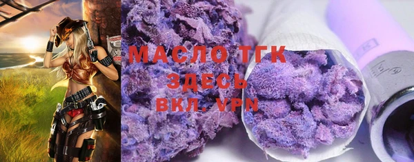 дживик Бородино