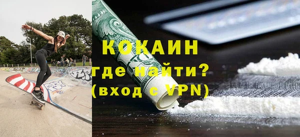 дживик Бородино