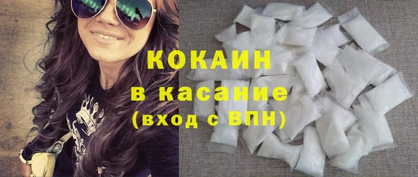 дживик Бородино