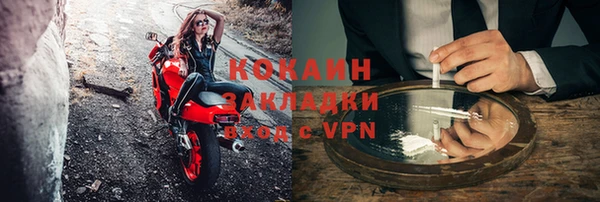 дживик Бородино
