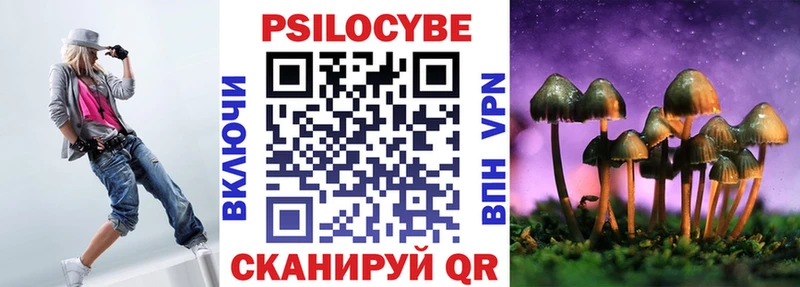 Псилоцибиновые грибы Psilocybe  Благовещенск 
